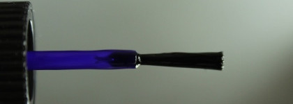 Chanel — Sunrise Trip