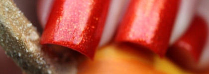 El Corazon Active Bio-gel Color gel polish. Коллекция "Russian brocade"