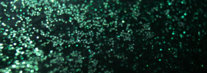 Zoya — Elphie, Lorna. Enchanted collection 2016