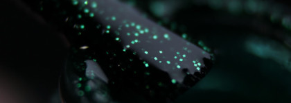 Zoya — Elphie, Lorna. Enchanted collection 2016