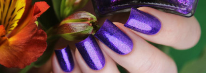 El Corazon Active Bio-gel Color gel polish. Коллекция "Eastern Organza"