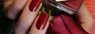 EL Corazon Active Bio-gel Color gel polish — “Cream”. Пополнение коллекции