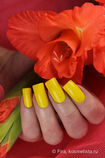 EL Corazon Active Bio-gel Color gel polish. Коллекция