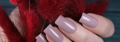 EL Corazon Active Bio-gel Color gel polish — “Cream”. Пополнение коллекции