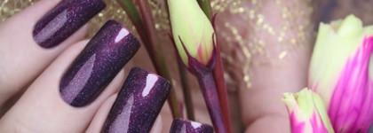 EL Corazon Active Bio-gel Color gel polish. Коллекция "Coronation"