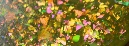 Tips — Witch’s Potion. 2019  