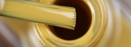 Nail polish Picture pOlish — Korma