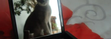 Pupa Cashmere attraction kit