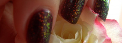 Golden Rose Paris № 104 и Dance Legend # 930 моё летнее сочетание