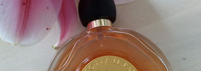 Обволакивающее солнце на загорелой коже - Terracota Guerlain