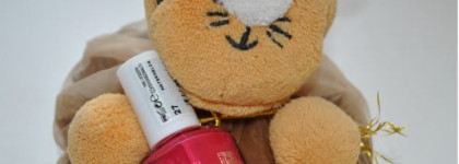 Ранние арбузы сомнительной весны