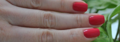 Ранние арбузы сомнительной весны