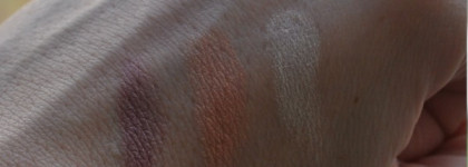 Тени Shiseido Luminising Satin Eye Color Trio RD 299 Beach Grass. Прошедшее лето,чудесная осень