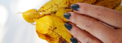 В предвкушении осени с Essence #143 I'm The boss