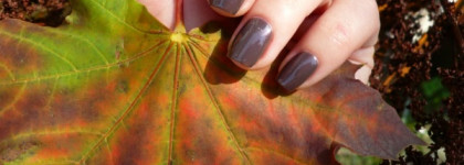 M.a.c. "Anti-Fashion"