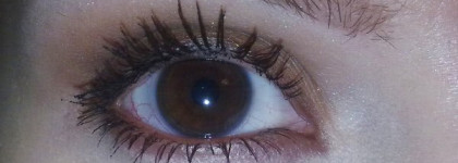 Разочарование в туши Revlon Fabulash Waterproof Mascara 01 Blackest Black Noir intense