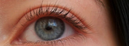 В поисках идеала