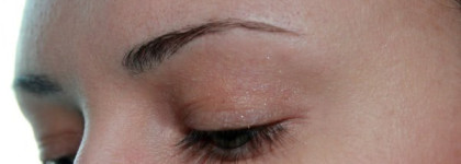 Dior Palette 970 Stylish Mauve для глаз- хамелеонов