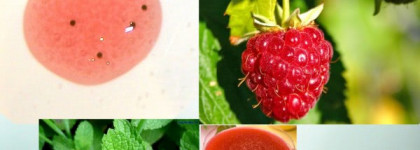 Эх, малинка моя!  Отшелушивающий гель для душа Nature Secrets Exfoliating Shower Gel with Energising Mint & Raspberry от Oriflame