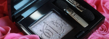 Dior Diorshow Mono Kingdom Of Colors Wet&Dry BackStage Eyeshadow #45 Fairy Grey