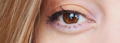 Shiseido. Luminizing Satin Eye Color Trio. BR 214 Into the Woods