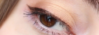 Shiseido. Luminizing Satin Eye Color Trio. BR 214 Into the Woods