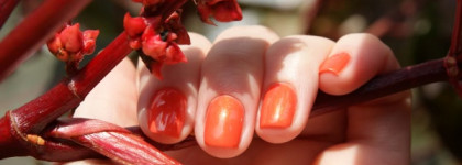 Днём с огнём или Butter London Torch