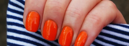 Летнее настроение. Dance Legend 305 Цвет сияния