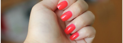 В ожидании лета - O.p.i. Guy Meets Gal-Veston