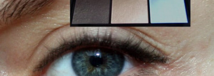 Новый друг – лучше старых всех. Shiseido Luminizing Satin Eye Color Trio - GD804 Opera