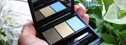 Новый друг – лучше старых всех. Shiseido Luminizing Satin Eye Color Trio - GD804 Opera