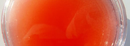 Мой благоухающий подарок на День Рождения