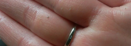 Ежедневный ритуал красоты с Clarins