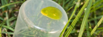 Бюджетное "масло" для волос Schwarzkopf Gliss Kur Ухаживающий Oil Эликсир