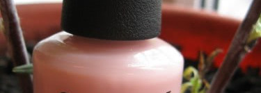 Мой удобный и незаменимый OPI Passion