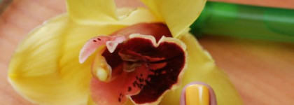 Двойное разочарование и одна радость от Inglot (много фото)