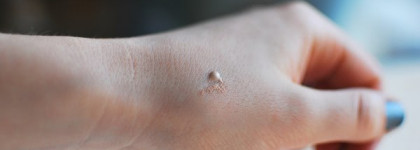 Skin79 Snail Nutrition BB cream Spf45