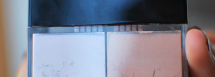 Givenchy Prisme Libre #2 Delicate Beige