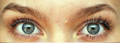 Битва Clarins Instant Definition Mascara #01 и Shiseido Perfect Mascara Full Definition BK 901 (мини-версии)
