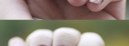 Aurelia Magnifique Vanille #01, #05, #06, #12 & Aurelia Magnifique #137, #169