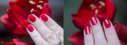 Max Factor Nailfinity #549 Red Passion