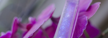 Givenchy Gelee d’Interdit #8