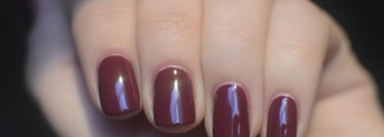 Golden Rose Rich Color #28