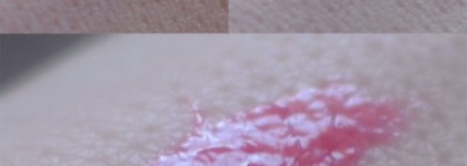 Essence Stay With Me longlasting lipgloss #06 berry me