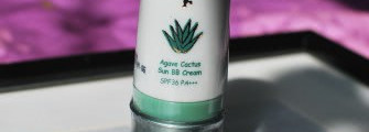 Skinfood Agave Cactus Sun BB Cream №1