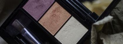 Shiseido Luminizing Satin Eye Color Trio #RD 299 (Beach Grass)