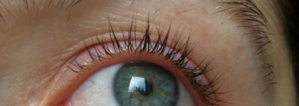 Estel Professional Only looks Краска для бровей и ресниц (графит)