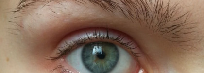 Estel Professional Only looks Краска для бровей и ресниц (графит)