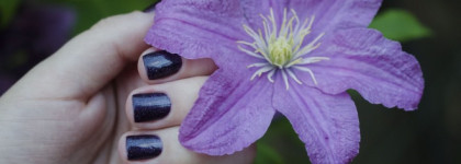 Picture Polish Nail Polish - Karma