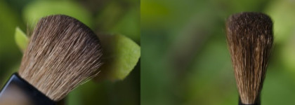 Chanel Joues Contraste Powder Blush 88 Vivacité